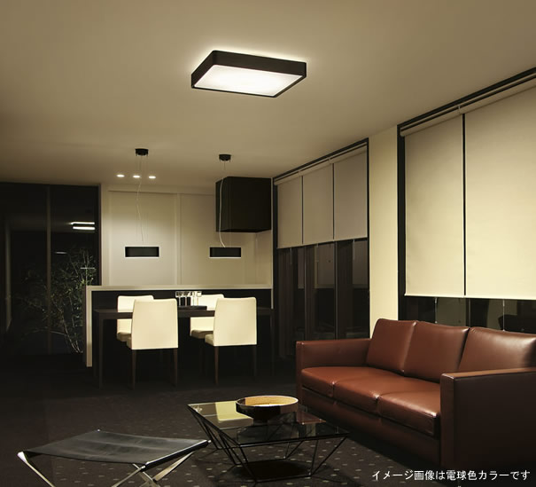 大光電機　DCL-36230L　リビングシーリングライト照明 （リビング） 