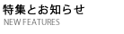 特集ページTEXT