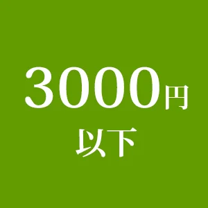 3000円以下の商品カテゴリへ