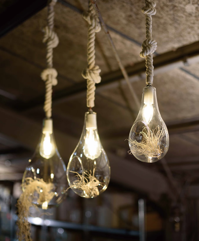 BOTANIC HANGING LIGHT (その他)