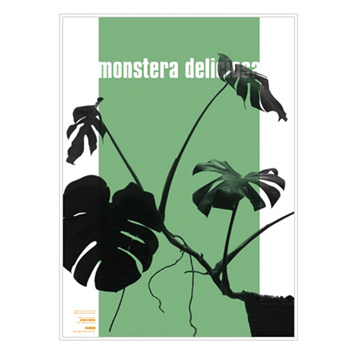 Wall Plants Monstera-002 | フレーム付き｜照明のライティング