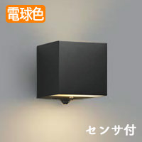 ݡ饤  ܾ 40W LED ʹ | ֥å