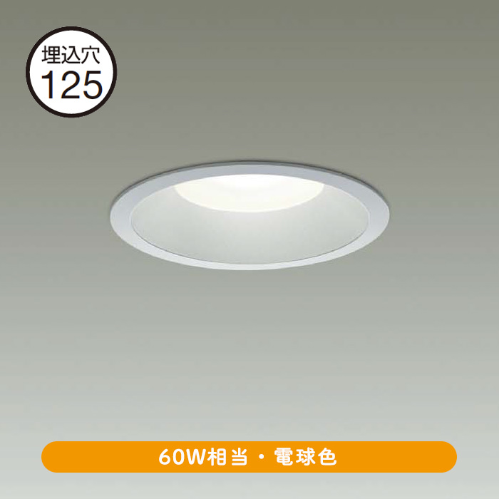 ダウンライト Φ125 電球色 60W相当 | シルバー [生産終了] 詳細画像1