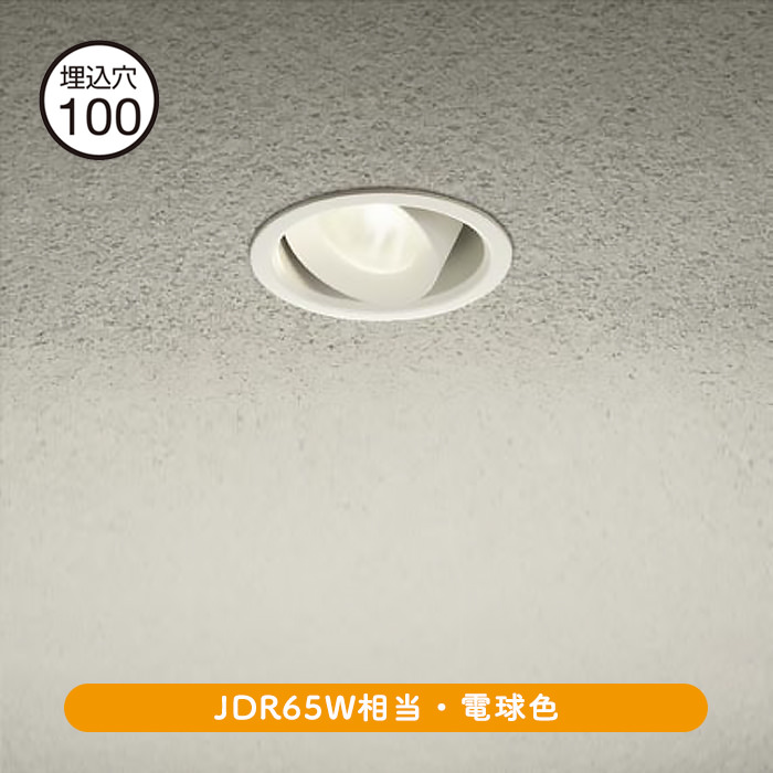 ˥С饤 100 JDR65W ŵ忧 | ۥ磻