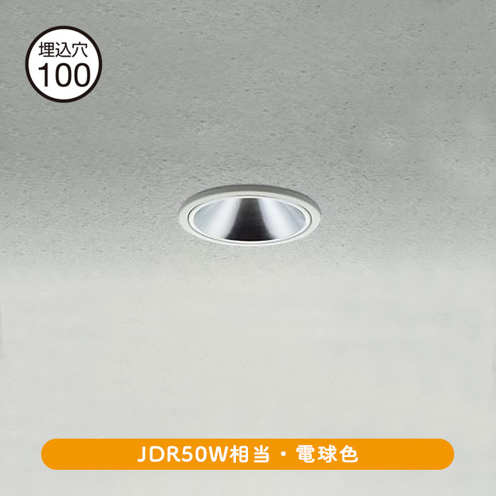 饤 100 JDR50Wŵ忧 | ۥ磻