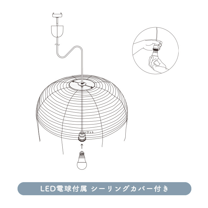 EDOHOTARU-DB-S 2