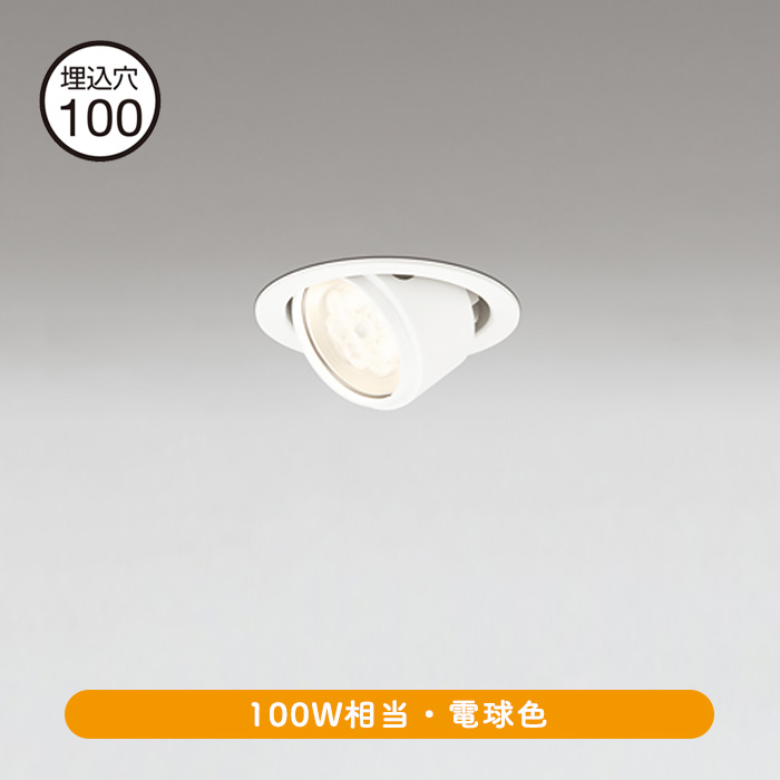 100 ˥С饤 100Wŵ忧åեۥ磻