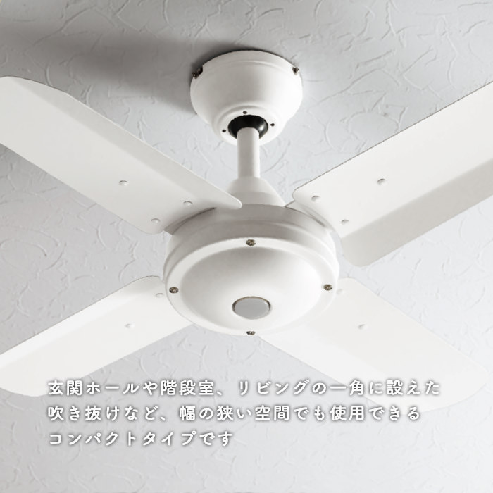 AC MOTOR FAN ѥȡեۥ磻