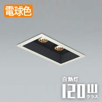 BL ˥С饤 60W x 2 | ۥ磻