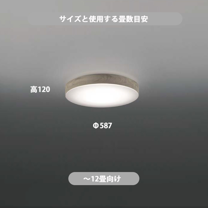 Ĵۥ磻ȥå LED󥰥饤 ĴĴ⥳  | 12 3