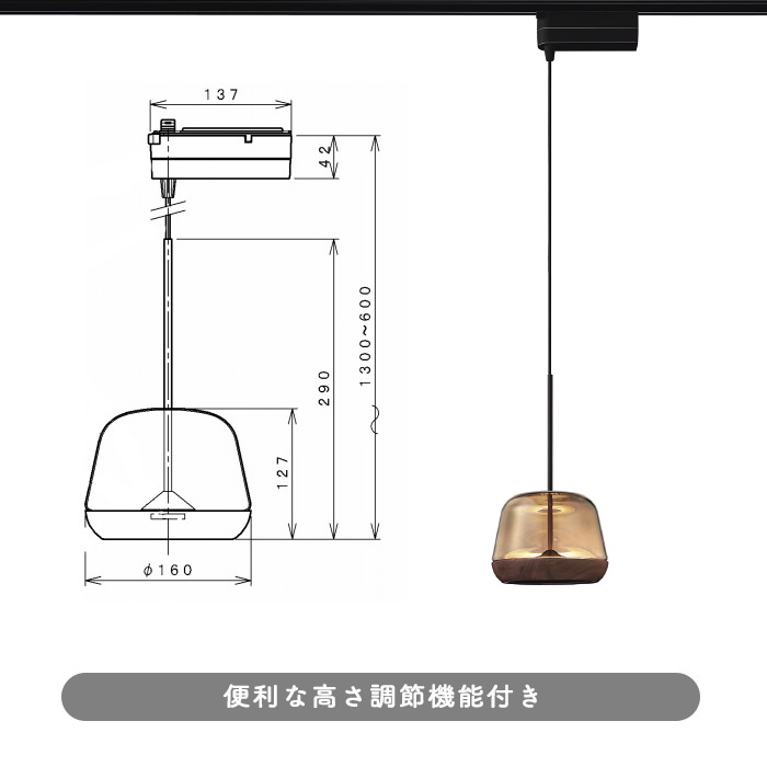 BrownWalnut ڥȥ饤  | ȥ졼 5