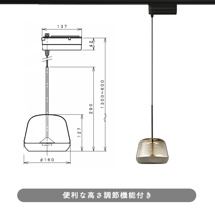 GrayGrayishOak ڥȥ饤  | ȥ졼 5