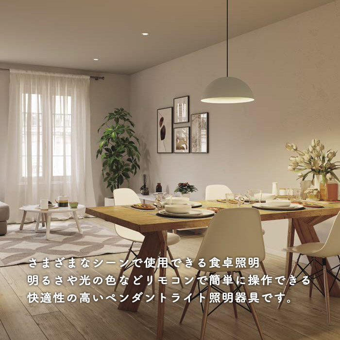 リモコン式 食卓用ペンダントライト GRAGE ・引掛シーリング式 詳細画像1