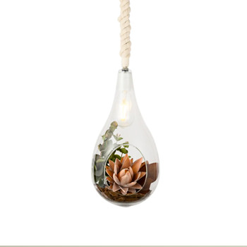 FGI-BOTANIC HANGING LIGHT Φ200 with FAKEGREEN【照明の