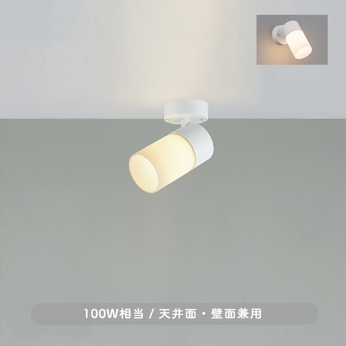 消しガラス・スポットライト | 100W相当の商品画像