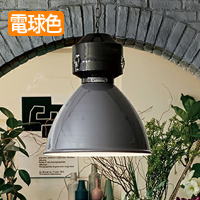 Steel ڥȥ饤ȡ100W | 3