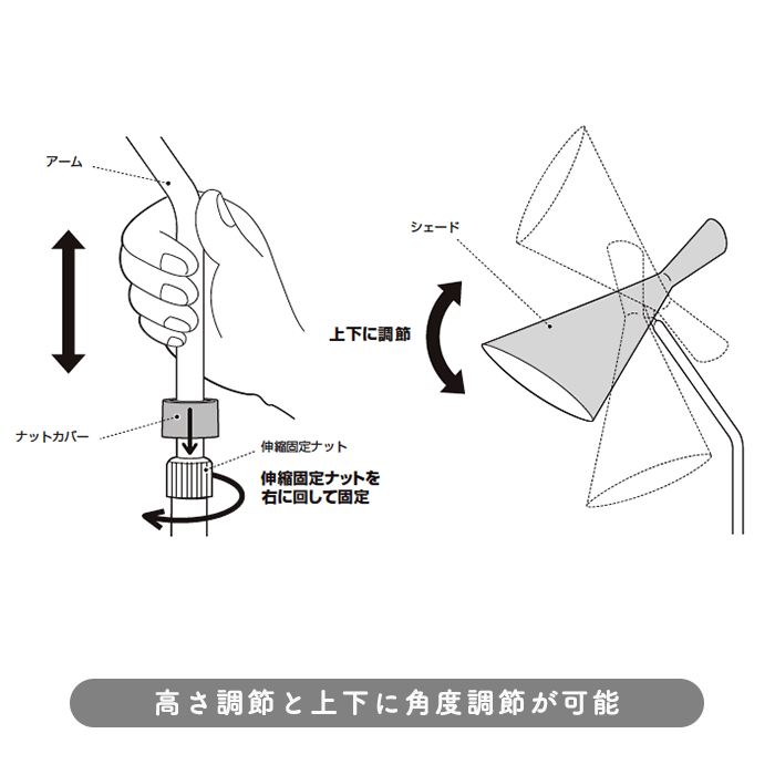 Genesis.60 եɥ饤 6