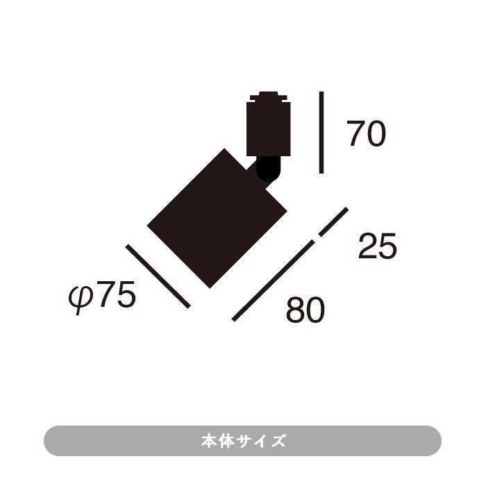 ط LEDݥåȥ饤100W֥å | ȥ졼 6