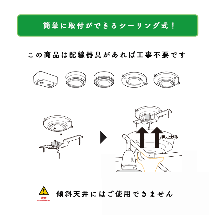 󥰥ݥåȥ饤ȡۥ磻 ⥳ 6-8 5