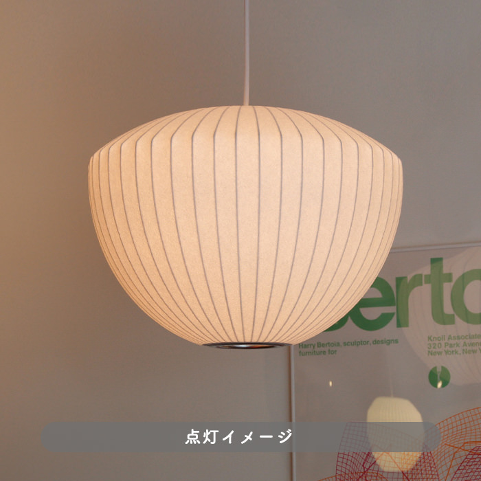 APPLE-LAMP/E26-LED100W 2枚目