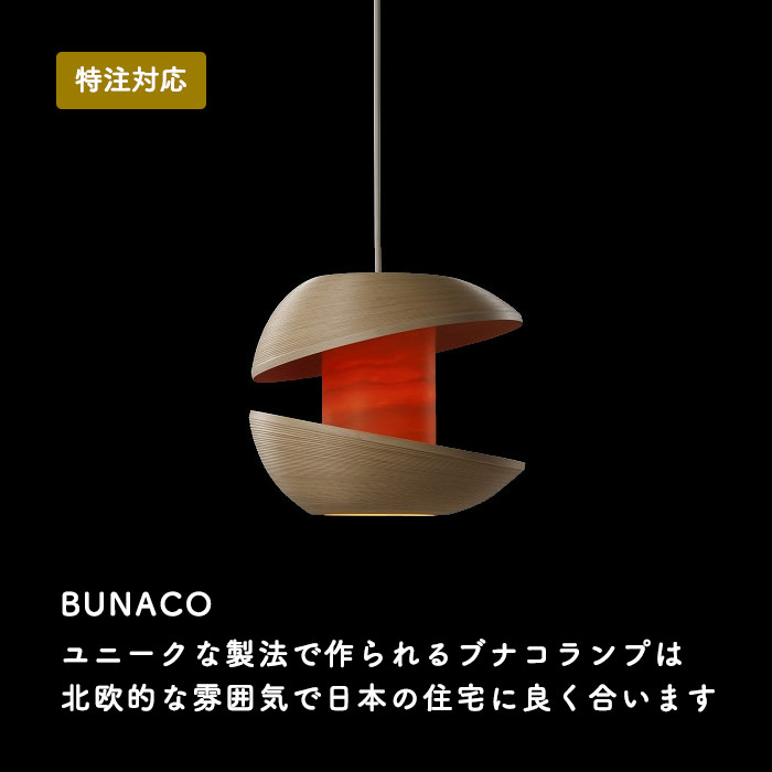 BUNACO ֥ʥ ڥȥ饤ȡڦ30cmP1571