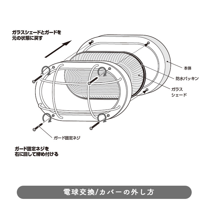 Base-oval ݡ饤 | 2 5