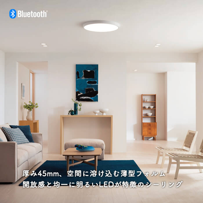シーリングライト