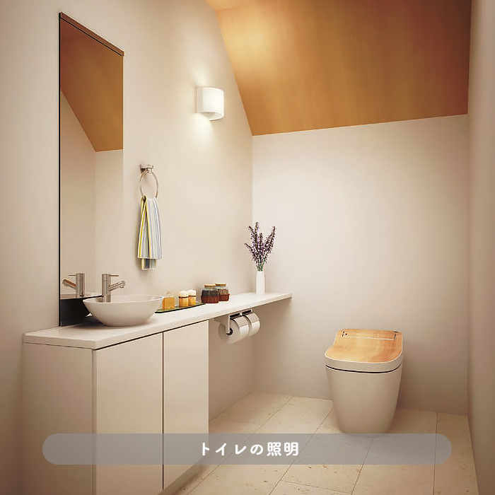 トイレを照らす