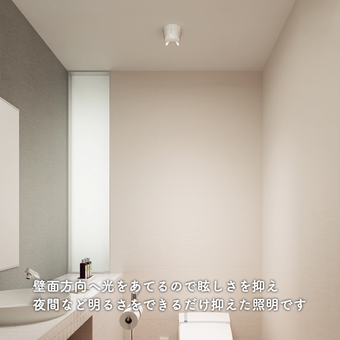 トイレ用小型シーリングライト DAIKO DCL-39499Y