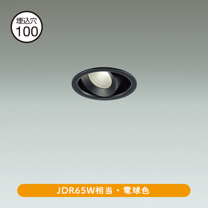 ˥С饤 100JDR65W ŵ忧 | ֥å