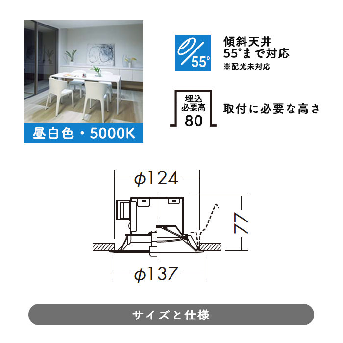 CO-DDL-5007WWG 2