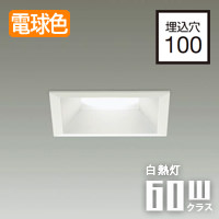 ダウンライト □100 60Ｗ相当・電球色 | ホワイト