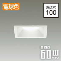 饤 100 LED 60 ŵ忧 | ۥ磻