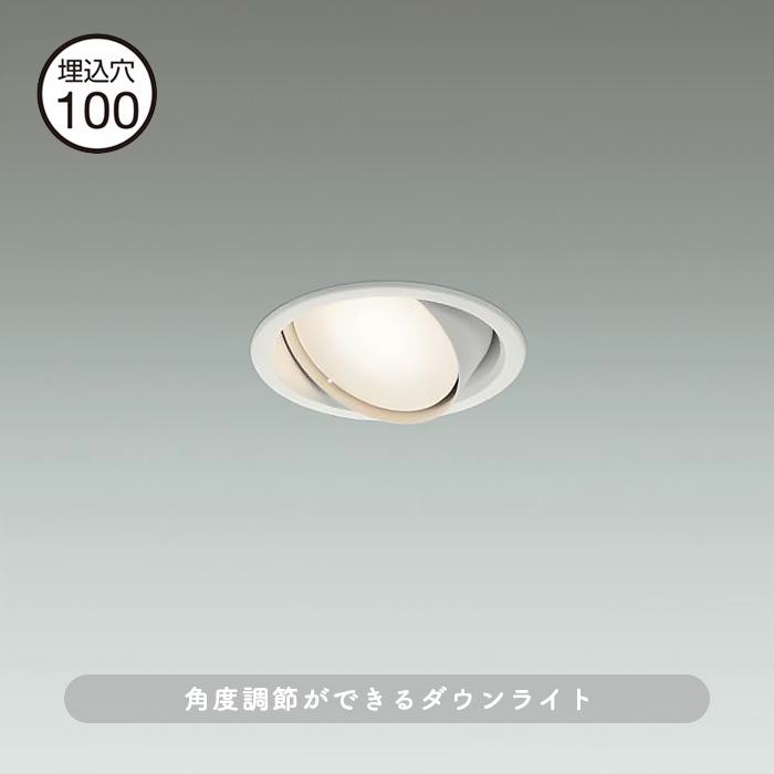 ユニバーサルダウンライト Φ100 60W相当｜電球色の商品画像