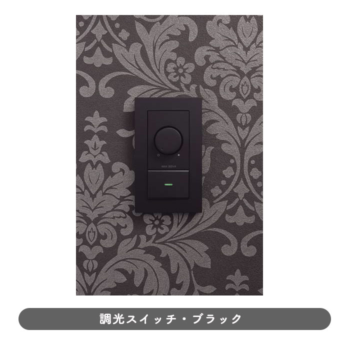 競売 大光電機 LED専用調光器 DP41000