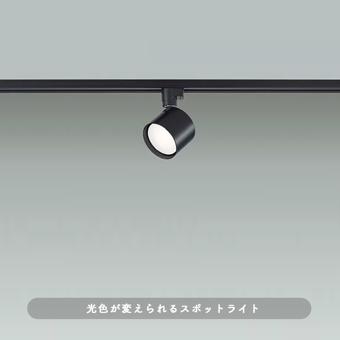おしゃれな照明 FLAT スポットライト ダクトレール用・100W相当｜ブラックの商品画像