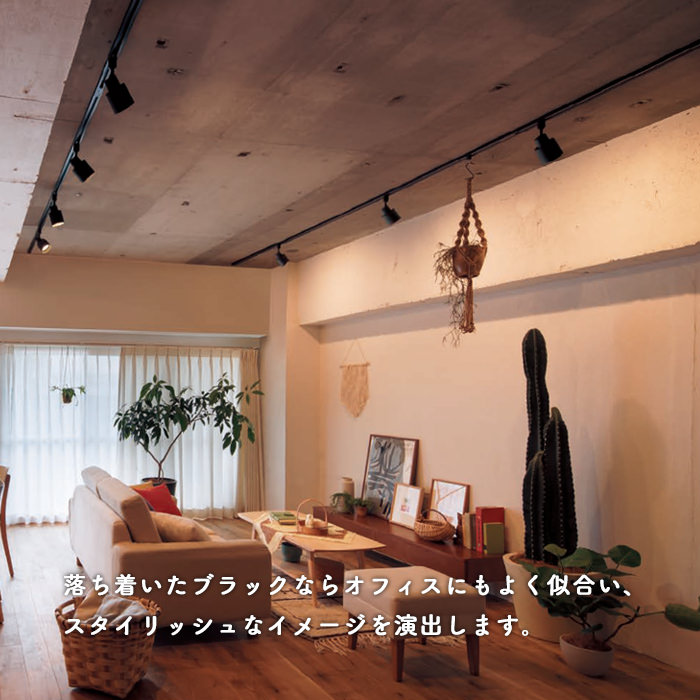 広角スポットライトで全体を照らすリビング例