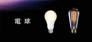 電球・LEDランプ