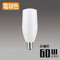 E17 TLEDŵ 60W | ŵ忧