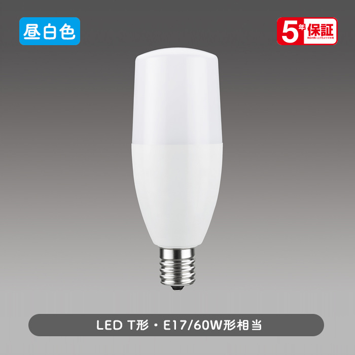 E17 TLEDŵ 60W |  