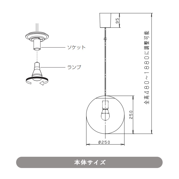 MODIFY SPHERE (M) 򡦦250 | 󥰼ռ 7