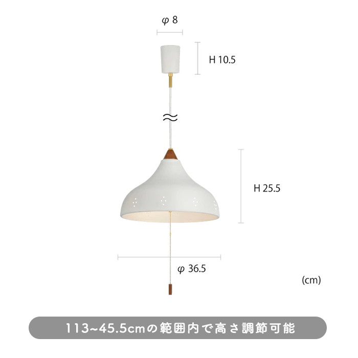 Dining ڥȥ饤 120W | 졼 6