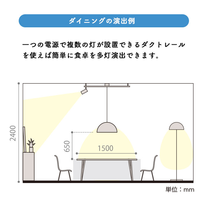 MODIFY DOME (L)480 | ȥ졼 7