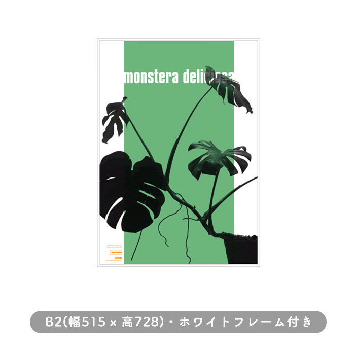 Wall Plants Monstera-002 | ߥե졼դ