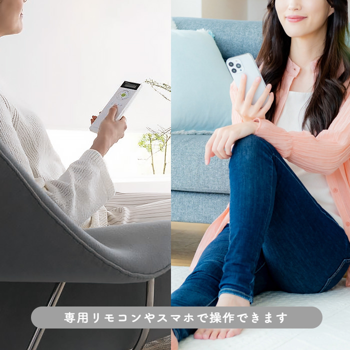 Lunar Nucleus-6 Satin Gold｜Bluetooth ディテール写真3（サムネイル）