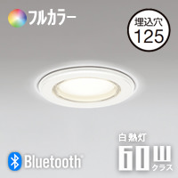 浴室用ダウンライト Φ125・60W相当 Bluetooth | フルカラー