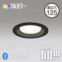 ダウンライト Φ125 Bluetooth フルカラー・60W相当 | ブラック