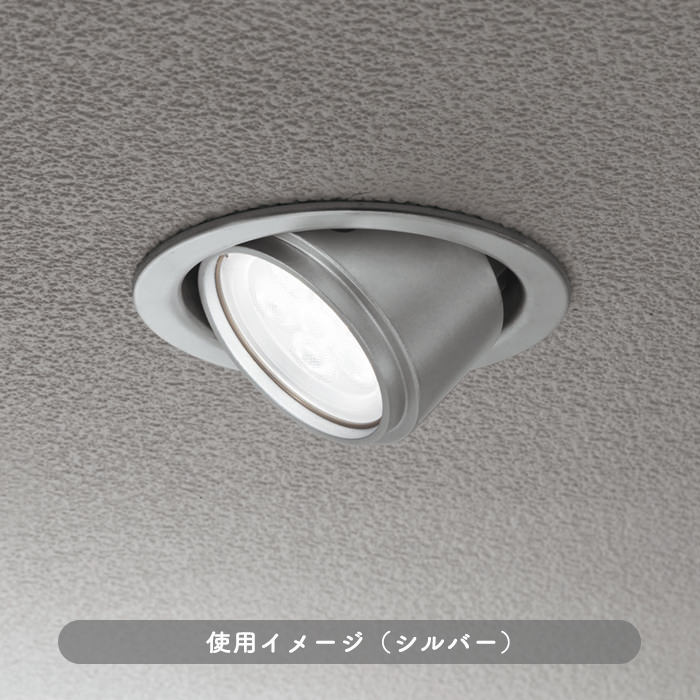 odelic エクステリアユニバーサルLEDダウンライト・ホワイト OD361152・電球色 1枚目