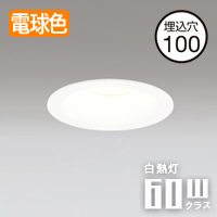 100 饤ȡ60W LED Х롼ŵ忧