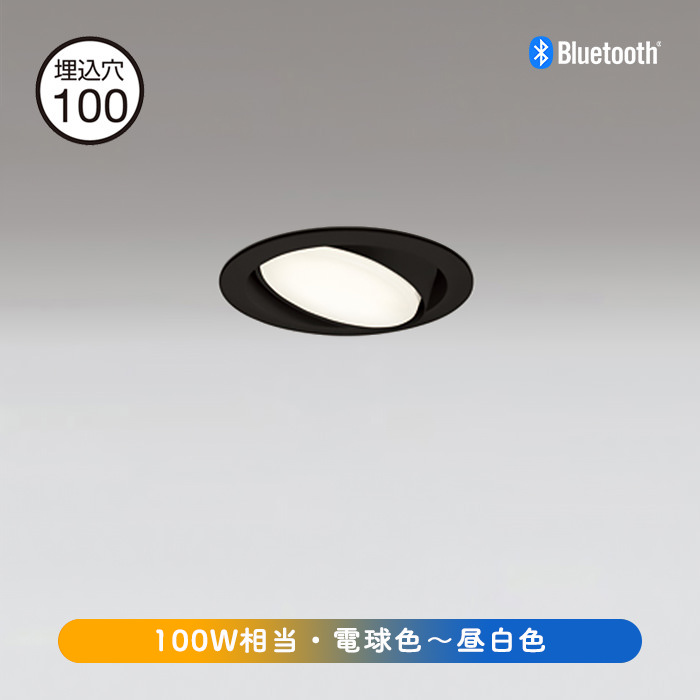 ˥С 饤 100 100W ĴĴBluetooth | ֥å